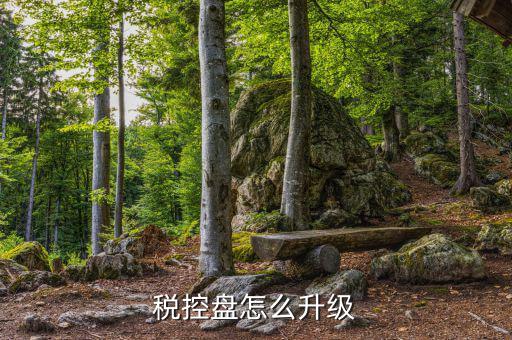 個(gè)人所得稅軟件如何升級(jí)，軟件怎樣升級(jí)