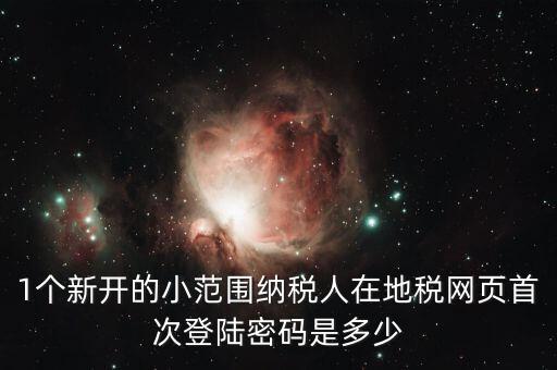 地稅ca如何登錄密碼是多少錢，1個(gè)新開的小范圍納稅人在地稅網(wǎng)頁首次登陸密碼是多少