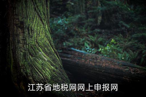 江蘇如何網(wǎng)上報稅，現(xiàn)在江蘇能不能進行網(wǎng)上抄報稅