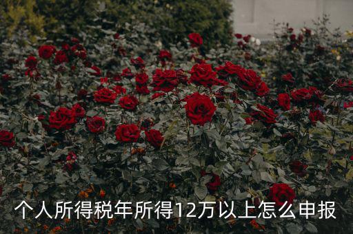 陜西地稅 12萬以上如何申報，個人所得稅年所得12萬以上怎么申報
