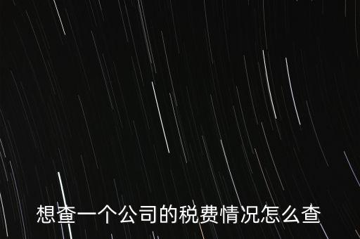 如何查詢公司納稅記錄查詢，想查一個公司的稅費情況怎么查