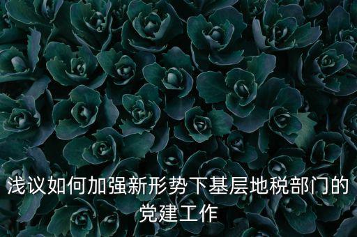 淺議如何加強(qiáng)新形勢(shì)下基層地稅部門(mén)的黨建工作