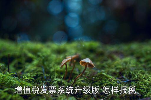 如何更新發(fā)票系統(tǒng)版本，如何將開票軟件升級(jí)為最新版本