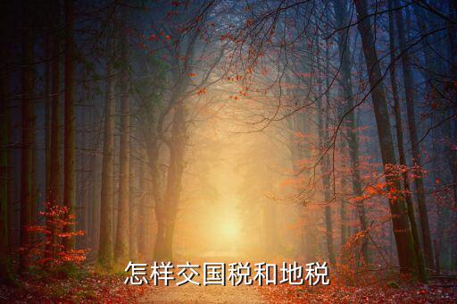 如何開通國稅和地稅，怎樣在網(wǎng)上開通國稅和地稅的申報啊特別是地稅有稅的申報和一般納