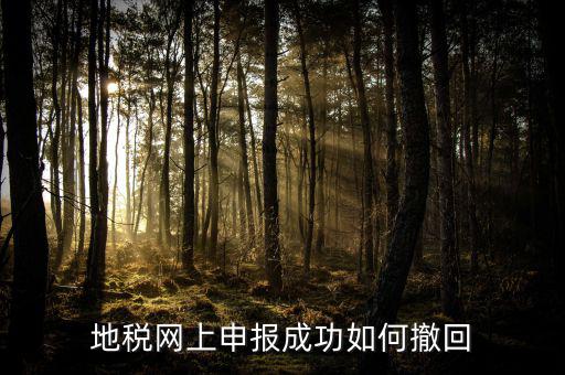地稅網(wǎng)上已預(yù)約如何取消預(yù)約，地稅網(wǎng)上申報(bào)成功如何撤回