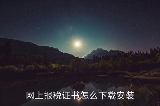 如何下載電子稅務(wù)印章，網(wǎng)上報(bào)稅證書怎么下載安裝