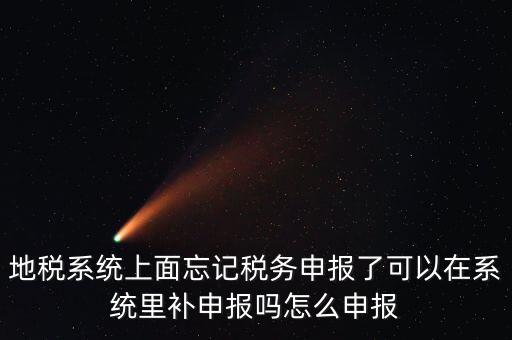 地稅如何補(bǔ)充申報表，地稅系統(tǒng)上面忘記稅務(wù)申報了可以在系統(tǒng)里補(bǔ)申報嗎怎么申報