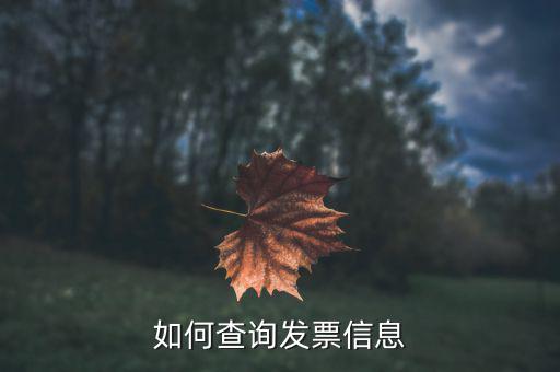 開票系統(tǒng)如何查詢票種，如何從金稅盤中看出公司票種