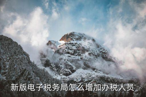 深圳稅局如何增加辦稅員，電子稅務(wù)局如何添加辦稅人員