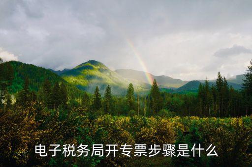 山西省稅務局網(wǎng)上如何開專票，如何開增值稅專用發(fā)票