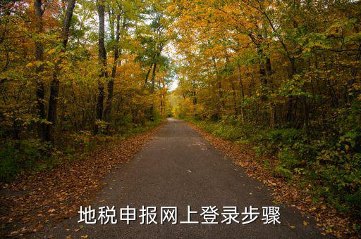 廣西國稅地稅如何網(wǎng)上申報，稅務申報如何網(wǎng)上申報