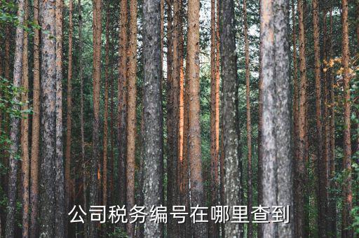 如何查遼寧省國稅局納稅識(shí)別號(hào)，跪求 在哪點(diǎn)能查詢到納稅人識(shí)別號(hào)