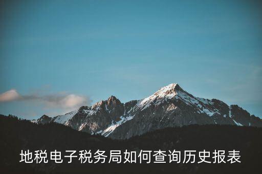 地稅電子稅務(wù)局如何查詢(xún)歷史報(bào)表