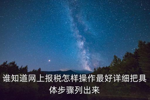 如何進(jìn)行網(wǎng)上納稅申報(bào)，如何進(jìn)行網(wǎng)上申報(bào)稅款