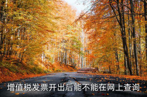 如何查詢發(fā)票完稅，稅控軟件上已經(jīng)開的發(fā)票怎么查詢