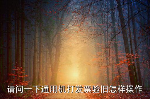 定額通用發(fā)票如何驗(yàn)舊，請問一下通用機(jī)打發(fā)票驗(yàn)舊怎樣操作