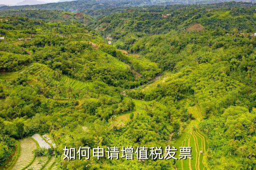 增值稅卷式發(fā)票如何申，新開(kāi)公司如何申請(qǐng)?jiān)鲋刀惏l(fā)票