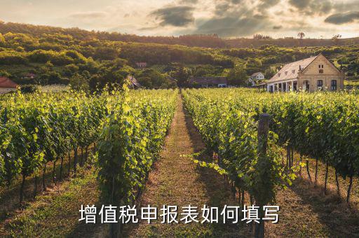 增值稅納稅申報表如何填列，增值稅申報表如何填寫