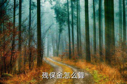 2016年四川殘保金如何計(jì)算，殘保金計(jì)算問(wèn)題 急