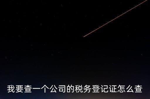 如何查企業(yè)的稅收記錄，想查一個公司的稅費情況怎么查