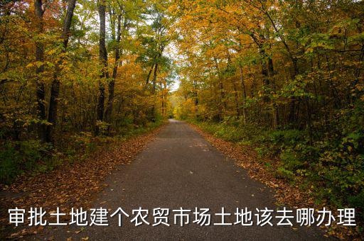 農貿市場土地如何取得，審批土地建個農貿市場土地該去哪辦理