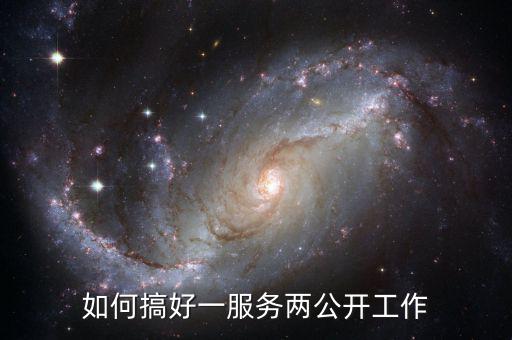 如何推進一案雙查工作，如何搞好一服務兩公開工作