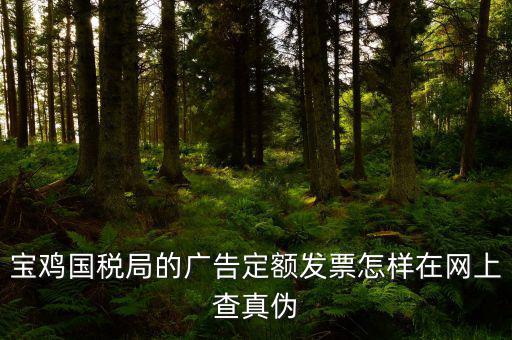 國稅定額發(fā)票如何查驗(yàn)，國稅的定額發(fā)票怎么辨別真假制作的跟假的似的