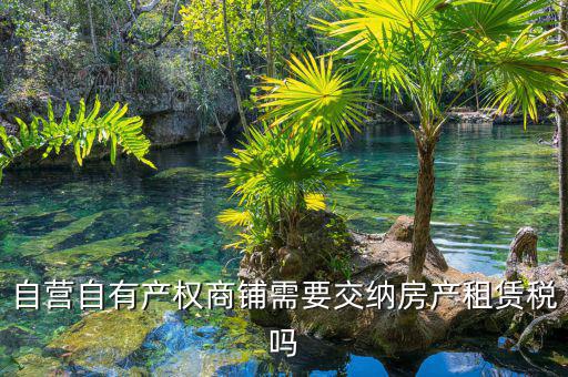 自有商鋪如何繳租賃稅，自有商鋪 是否交出租稅