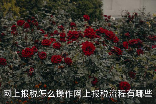 江蘇省網(wǎng)上稅務(wù)局如何報(bào)稅，網(wǎng)上報(bào)稅怎么操作網(wǎng)上報(bào)稅流程有哪些