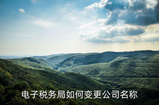 國(guó)稅系統(tǒng)如何更改公司，自然人電子稅務(wù)局怎么更換企業(yè)
