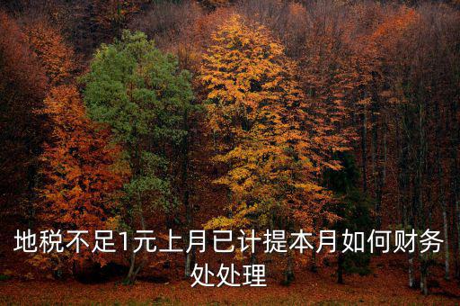 財務(wù)處如何落實數(shù)據(jù)地稅，地稅不足1元上月已計提本月如何財務(wù)處處理