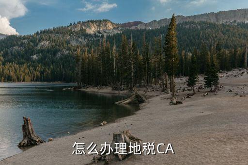 如何申請河北地稅ca，怎么辦理地稅CA