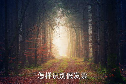 如何驗(yàn)證假發(fā)票，怎么識別假發(fā)票啊