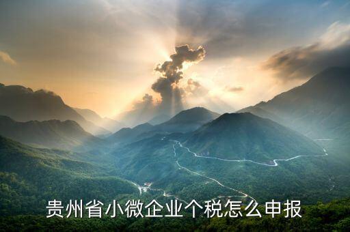 貴州個(gè)稅如何申報(bào)，國(guó)稅年報(bào)是不是在一般納稅人界面的其他稅種申報(bào)里面