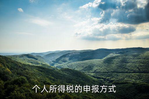 如何申請個人所得稅，個稅怎么申報