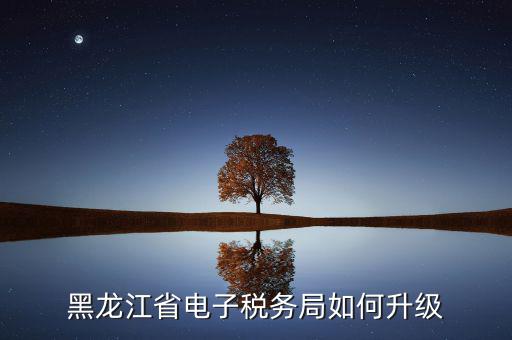 如何升級國稅系統(tǒng)，河南省電子稅務(wù)局版本過低怎么升級