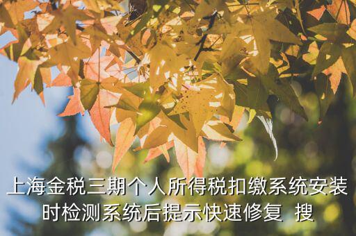 個稅安裝包如何恢復，上海金稅三期個人所得稅扣繳系統(tǒng)安裝時檢測系統(tǒng)后提示快速修復  搜