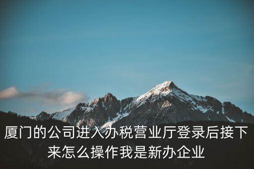 廈門的公司進(jìn)入辦稅營(yíng)業(yè)廳登錄后接下來(lái)怎么操作我是新辦企業(yè)