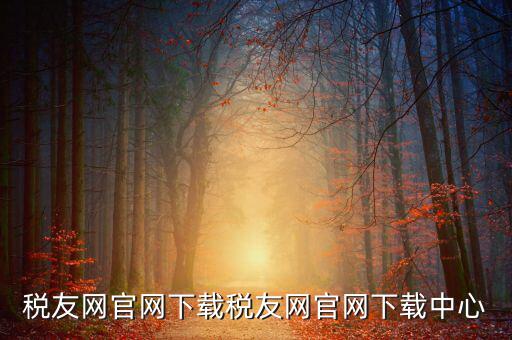 稅友如何下載，個稅在稅友網(wǎng)上下載下來了然后怎么安裝