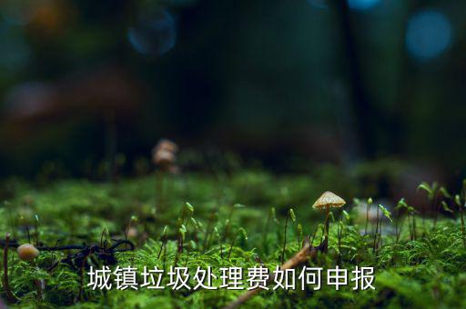 城市生活垃圾費(fèi)如何申報(bào)，城鎮(zhèn)垃圾處理費(fèi)如何申報(bào)