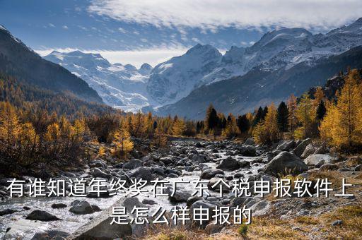 全年一次年終獎軟件如何申報，有誰知道年終獎在廣東個稅申報軟件上是怎么樣申報的