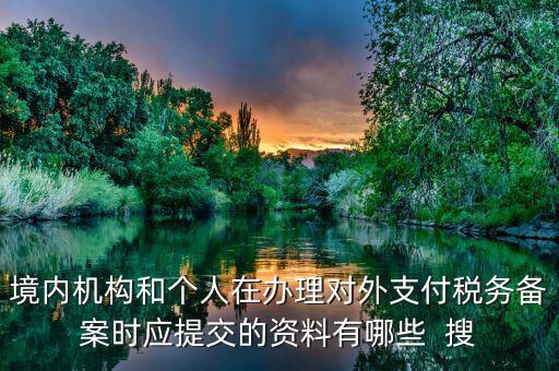 如何填列對(duì)外支付稅務(wù)備案表，境內(nèi)機(jī)構(gòu)和個(gè)人在辦理對(duì)外支付稅務(wù)備案時(shí)應(yīng)提交的資料有哪些  搜