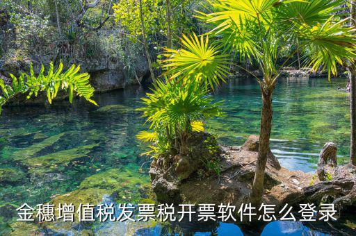 掌上辦稅如何登錄，登錄國(guó)稅網(wǎng)上辦稅服務(wù)廳的用戶名和密碼是什么