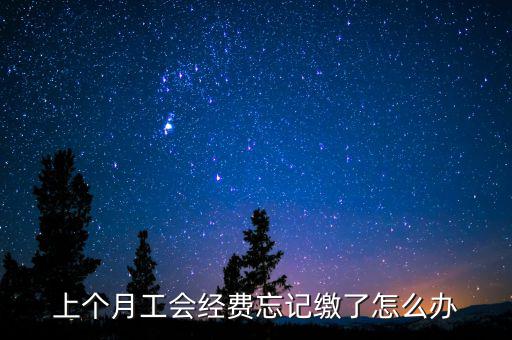 如何補繳上月工會經費地稅，工會經費上月已申報但未繳費本月可以補交嗎在哪里補交是在報稅系統