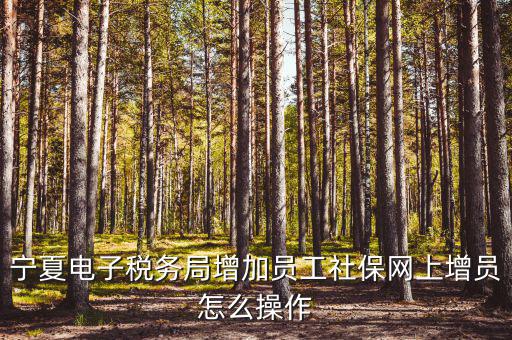 寧夏電子稅務系統(tǒng)如何開通，開通電子稅務局需要帶些什么東西去稅務局才能開通