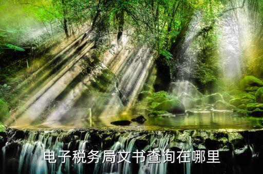 稅務(wù)局如何查詢(xún)文書(shū)，稅務(wù)事項(xiàng)通知書(shū)在哪里查詢(xún)
