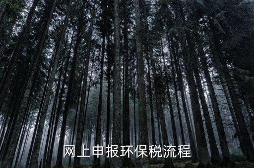電子稅務(wù)局環(huán)保稅如何申報，2021年環(huán)保稅怎么申報