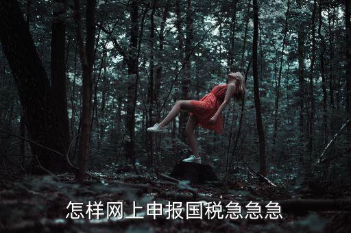 國(guó)稅網(wǎng)上稅務(wù)如何申報(bào)，怎樣網(wǎng)上申報(bào)國(guó)稅急急急