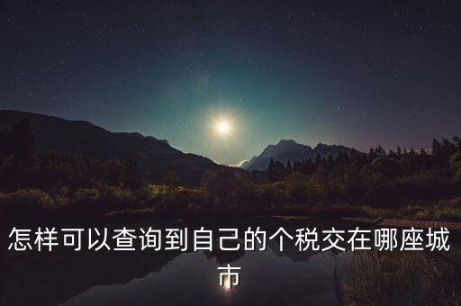 如何查詢個(gè)人所得稅所交地點(diǎn)，怎樣可以查詢到自己的個(gè)稅交在哪座城市