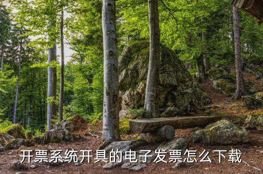 發(fā)票助手如何安裝在手機上，增值稅發(fā)票稅控開票軟件怎么安裝